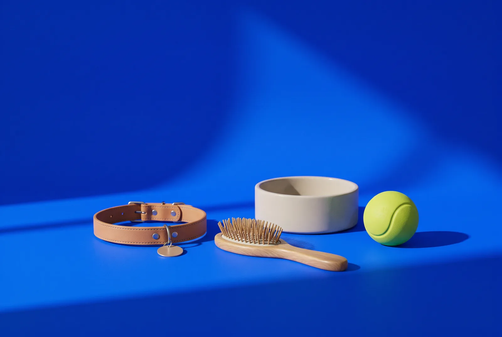 Pet business QR codes: a tan leather dog collar with a small round tag, a wooden grooming brush, a ceramic bowl and a lime ball on a cobalt blue floor.
