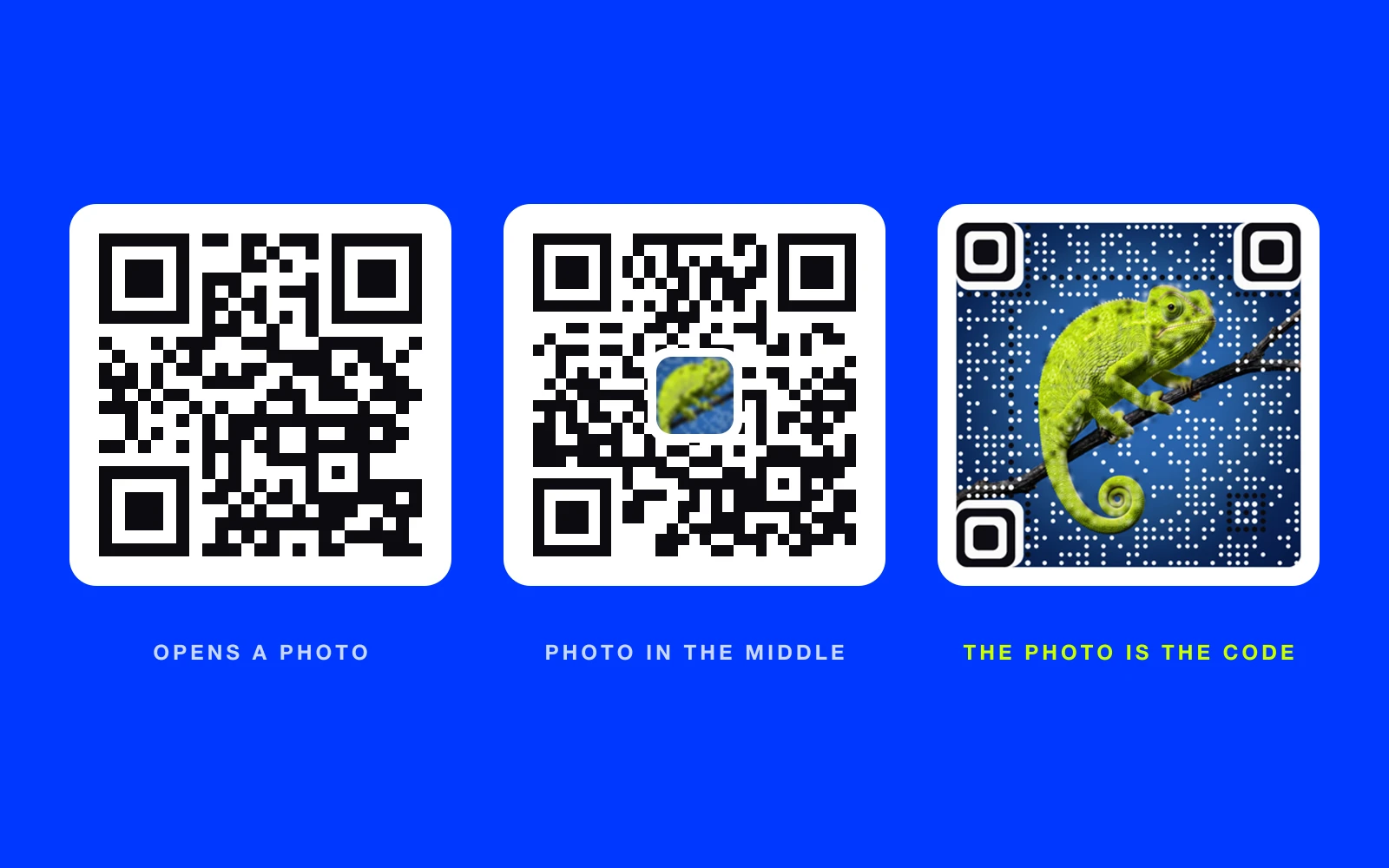 Three ways to make a QR code with a picture, on a blue background - a plain code, a code with the photo in the middle, and an AriaQR code where the chameleon photo itself is the code.