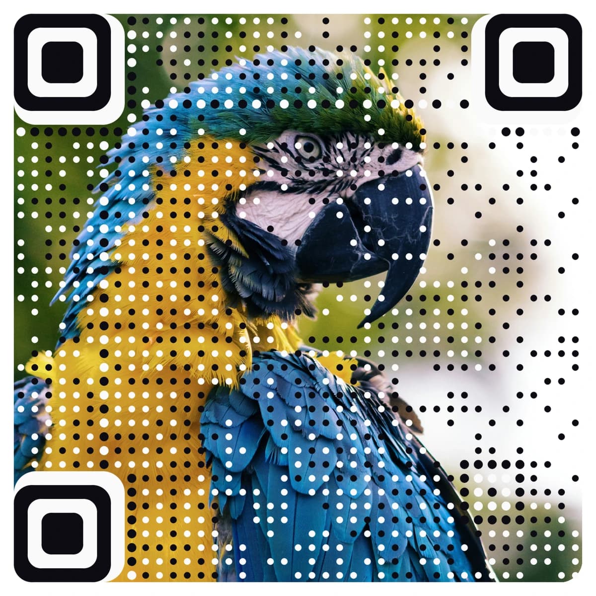 Macaw recreated as a scannable QR code — wildlife QR code art by AriaQR