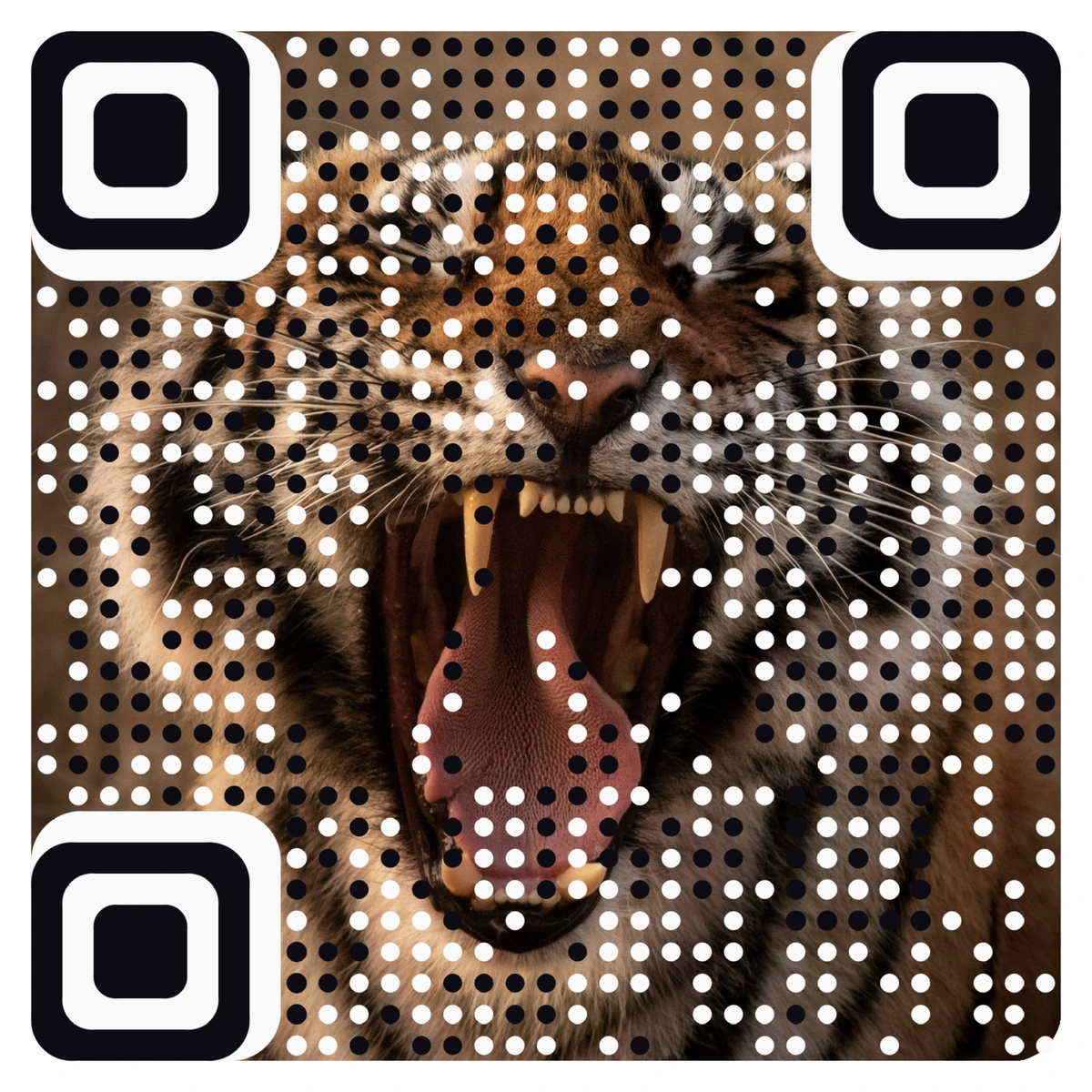 A real AriaQR code made from a photo of a roaring tiger, close up