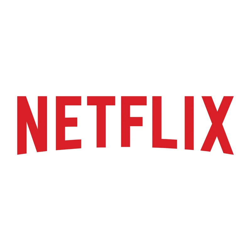 Netflix logo as uploaded (demonstration)