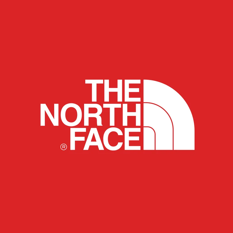 The North Face logo as uploaded (demonstration)